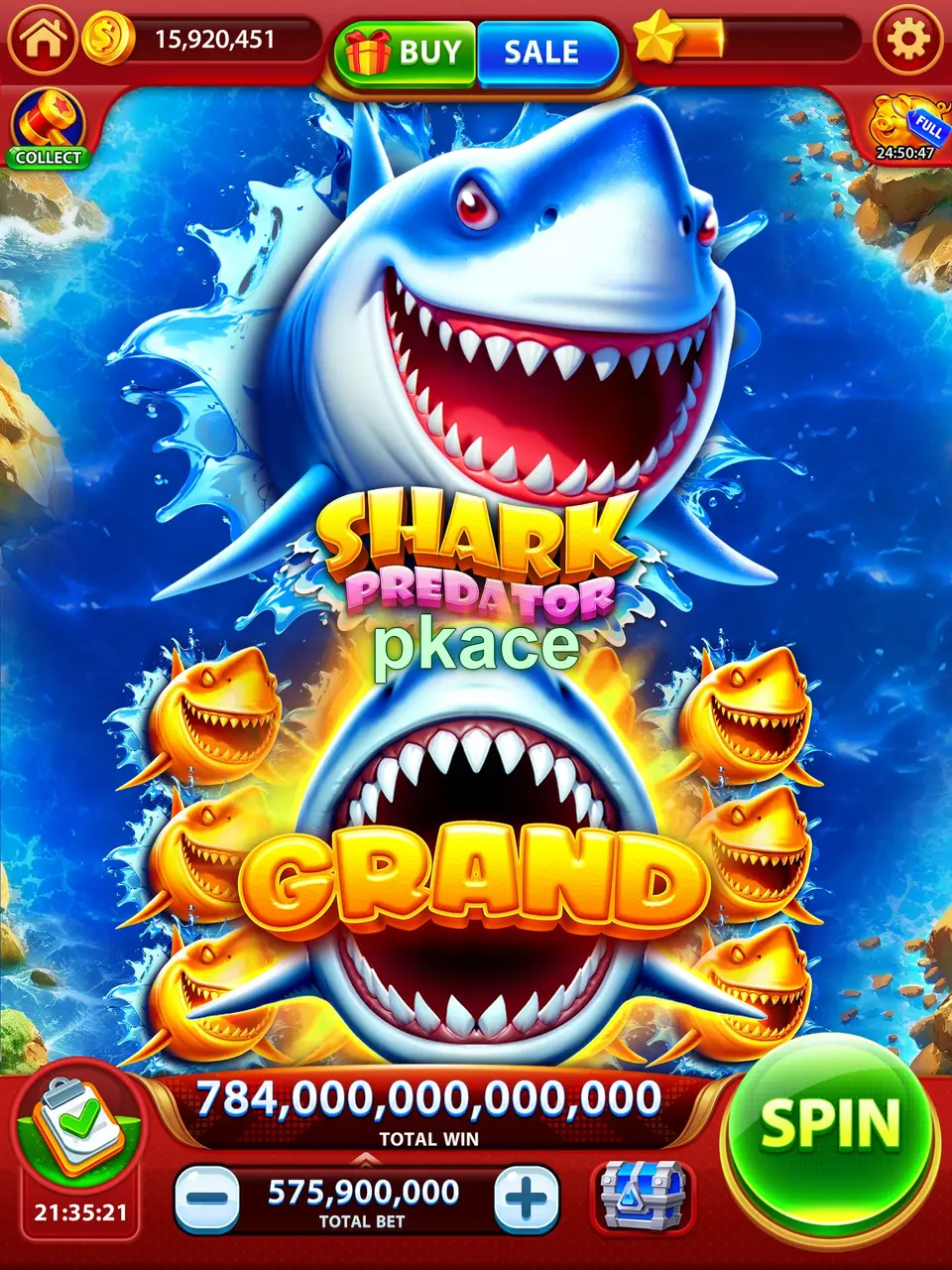 pkace ڈاؤن لوڈ